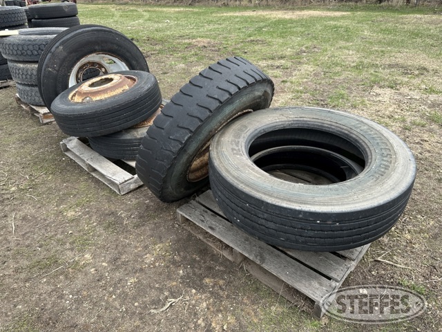 (6) Truck tires